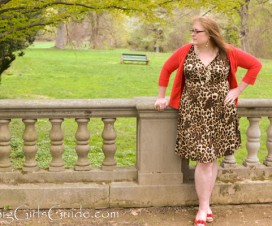 plus size cheetah dress