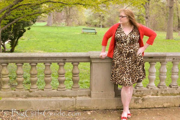 plus size cheetah dress